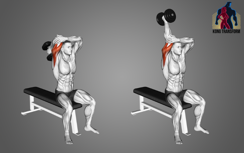 Dumbbell Overhead Triceps Extension